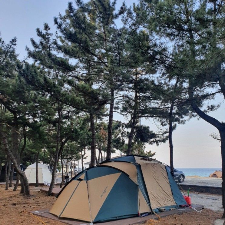 동해바다를품은 울진 해빛뜰마을 캠핑장 추천(울진대게...