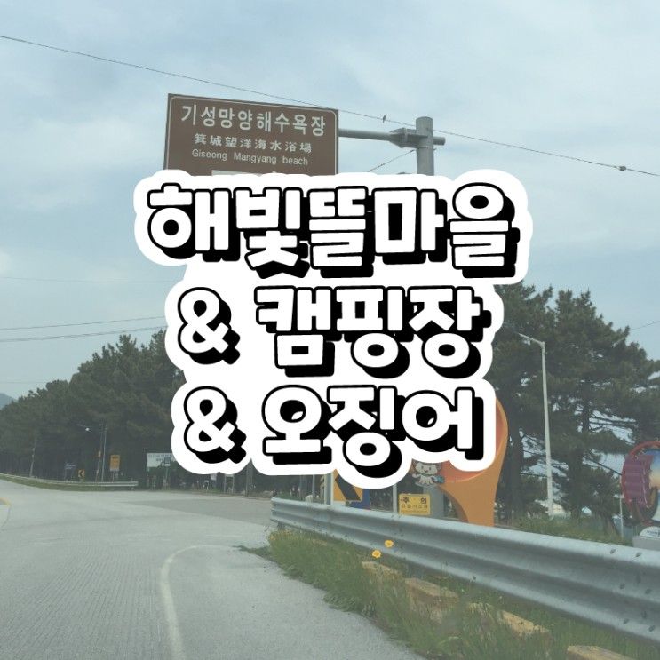 울진 해빛뜰마을_캠핑명소 & 오징어