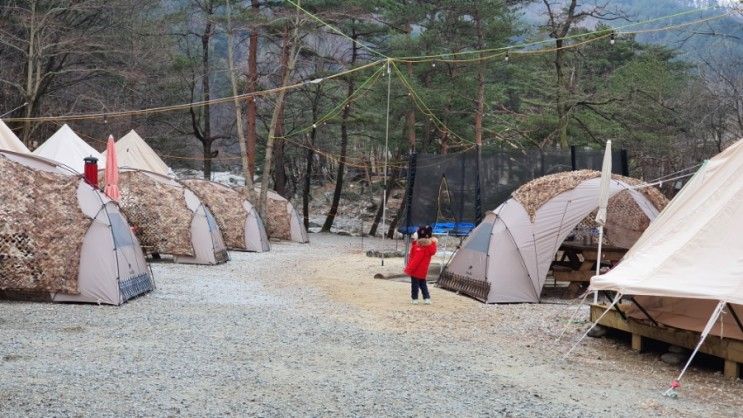 [아이와 갈만한 곳] 강릉 1박2일