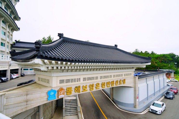 국내 온천여행 동해 보양온천컨벤션 호텔 숙소 부모님과 국내...