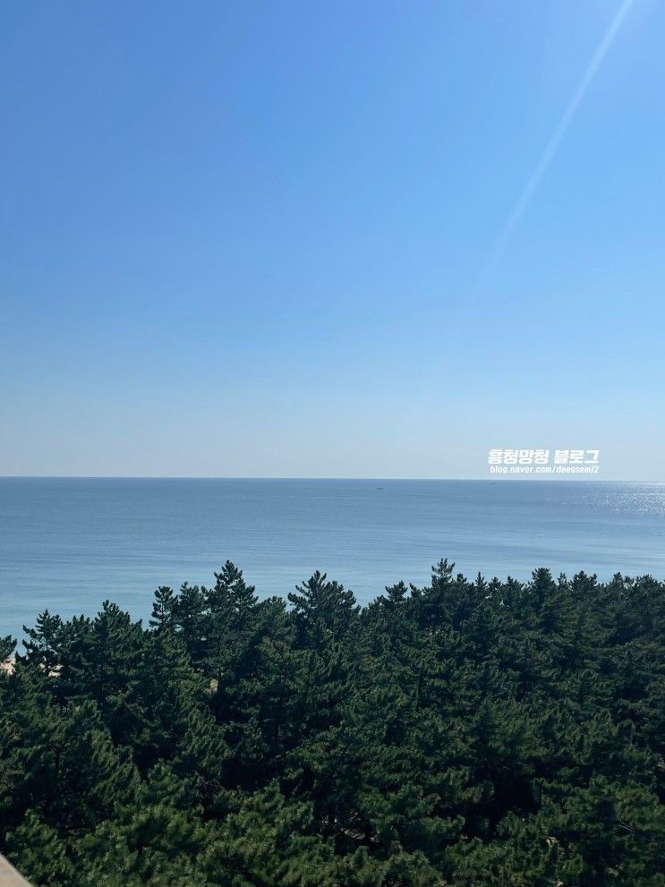 강릉 오션뷰 호텔 3성급 가성비 좋은 아비오 호텔
