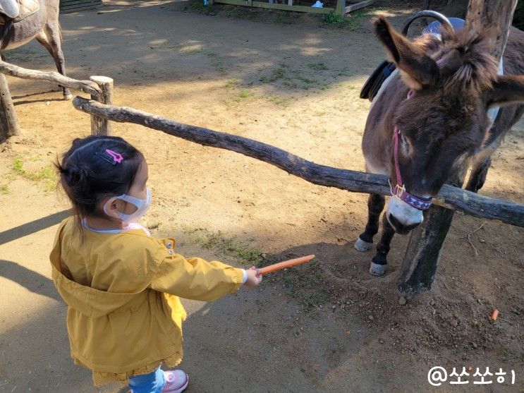 진천 마차박물관 아이랑 가볼만한 곳