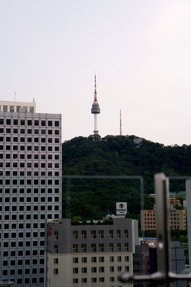 나인트리 프리미어 호텔 명동2 _ 위치 가성비 모두 갖춘 명동호텔