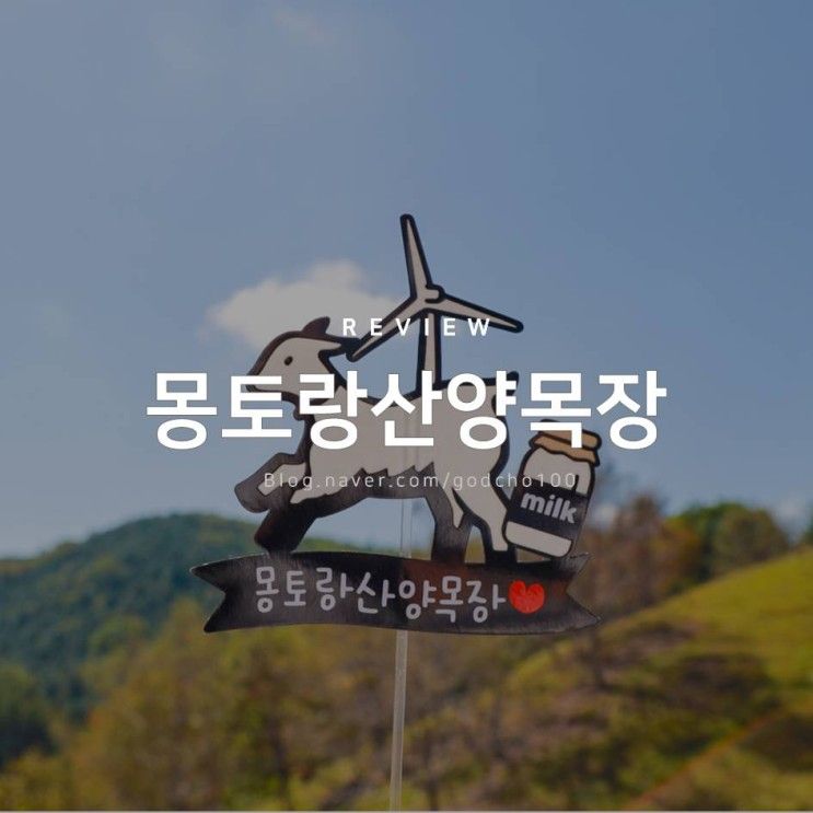 강원도 아이와 가볼만한곳 태백여행 몽토랑산양목장