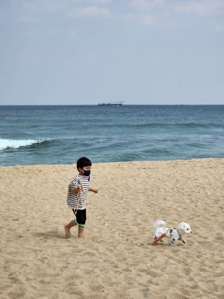 정은숙초당순두부 #파인아트라벨 #세레니타 #선호라면...