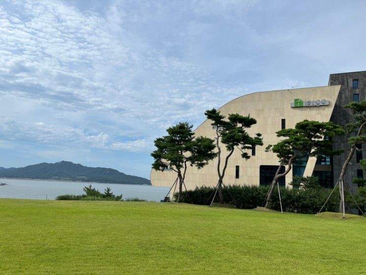 강화도 라르고빌 리조트 수영장♀️/ 후포항 밤산책