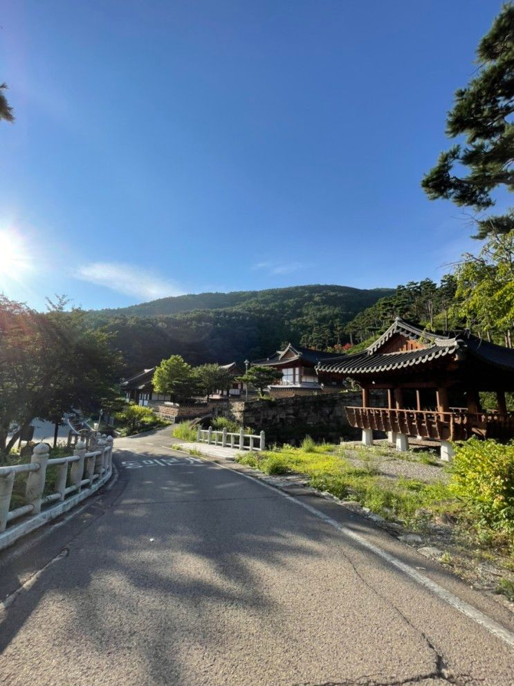 지리산 여행 - 산청 한방가족호텔/ 반려견 동반/ 산청 한방 테마...