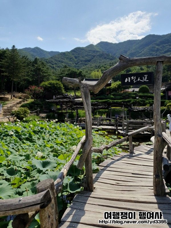 (수선사,정취암,산청한방가족호텔,산청출렁다리...