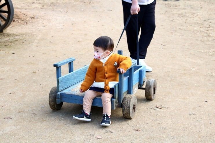 대전 근교 아기랑 다녀온 진천 마차박물관