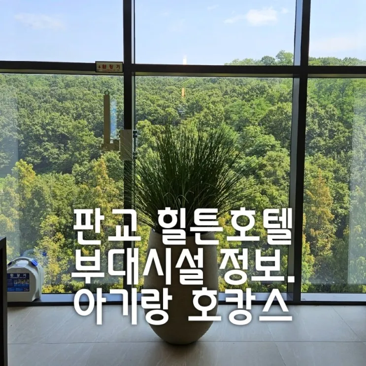 아기랑 호캉스, 더블트리 바이 힐튼, 판교 힐튼호텔 룸 컨디션...