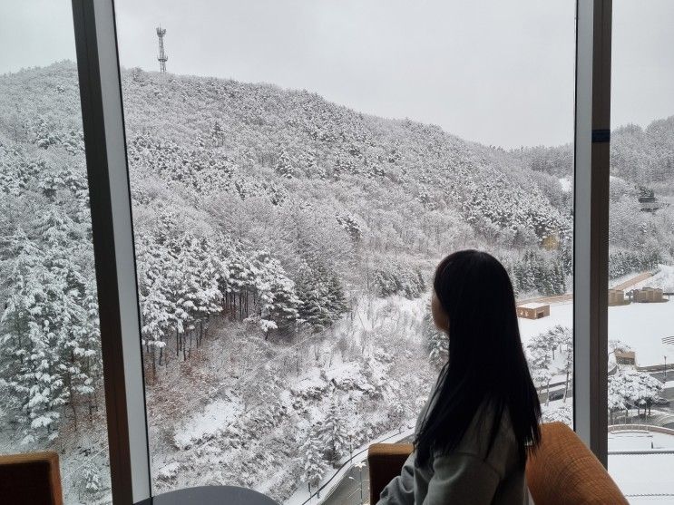 정선 호텔 / '하이원 그랜드호텔 컨벤션타워' 숙박, 강원랜드 후기