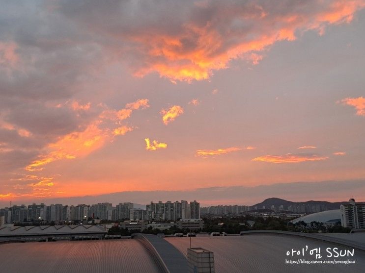 일산 대화역 호텔 비즈니스 호텔 킨텍스바이케이트리 숙박 및...