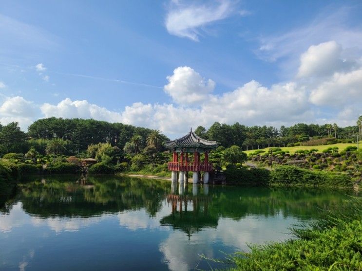 제주 서귀포 칼호텔 산책로, 아이들과 함께 최고였어요.