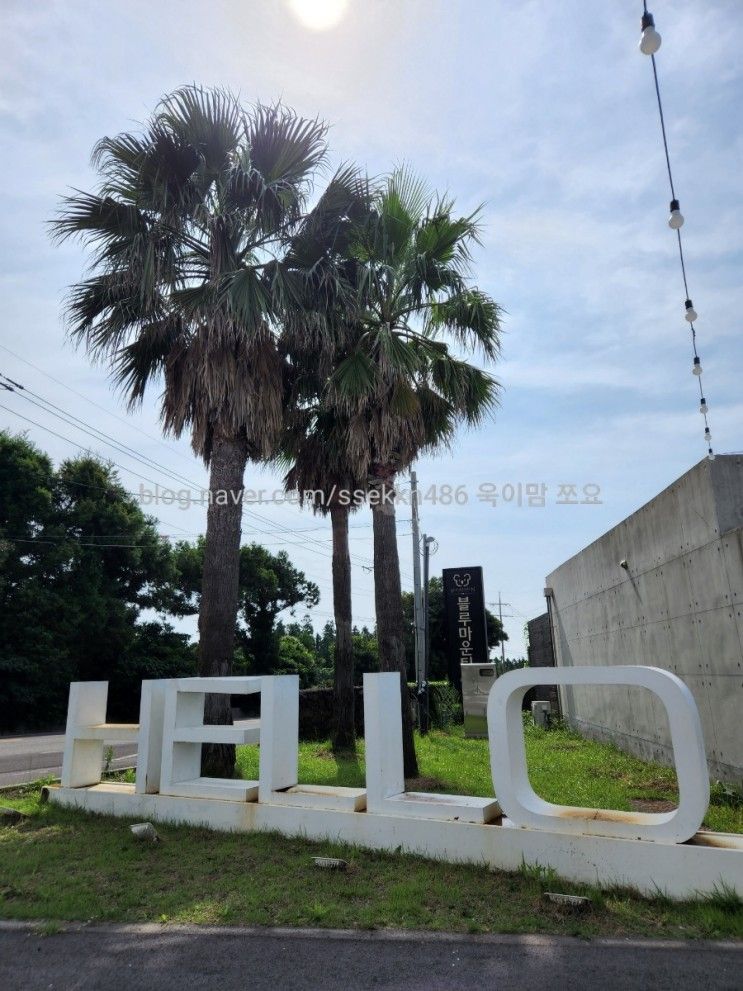 가성비 좋은 제주 숙소/ 블루마운틴 리조트, 제주 탐라스테이