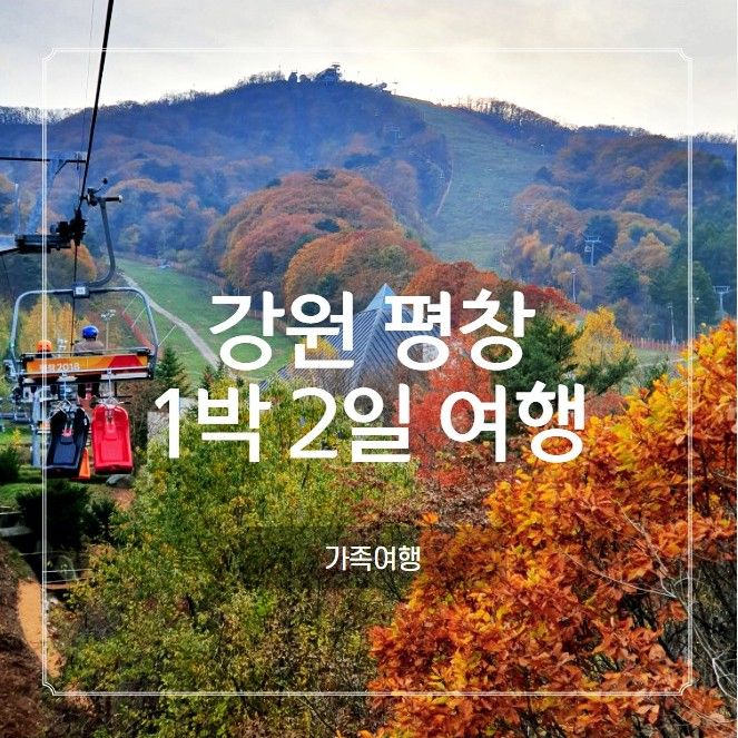 평창 1박2일 여행 스타벅스 더화이트호텔 루지랜드 온도...