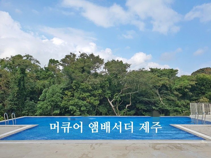 제주도 호텔 추천 머큐어 앰배서더 제주 호텔 수영장...