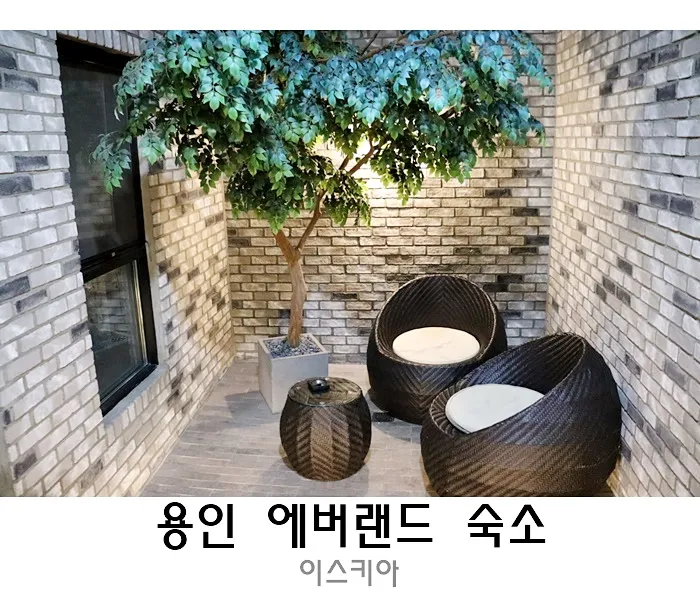 용인호텔 이스키아호텔 무료조식 서비스