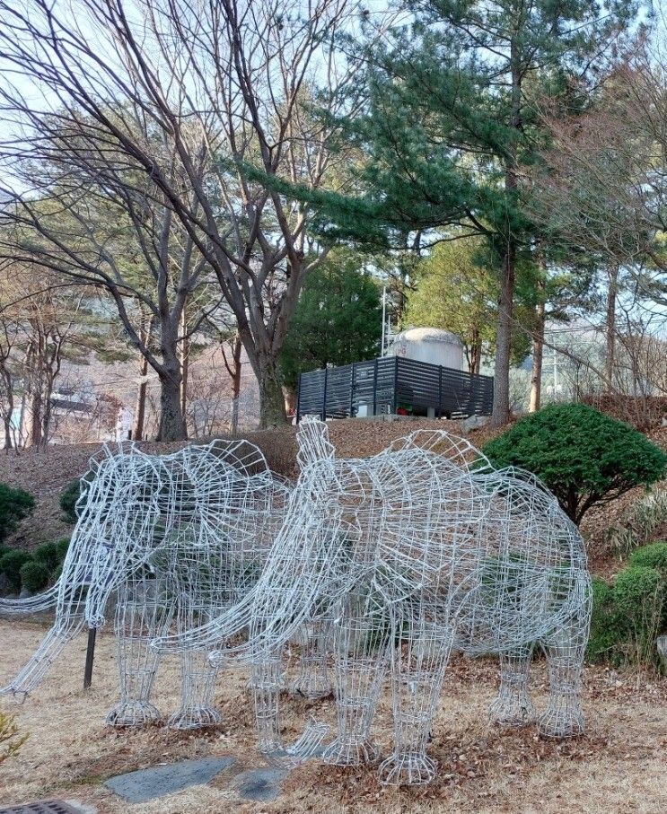 아이들과 추억 쌓기 좋은 가평호텔 켄싱턴리조트 가평