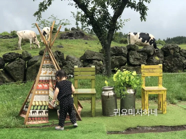 [3박4일]31개월 아이랑 6월... 협재해수욕장,제주돗,더본호텔