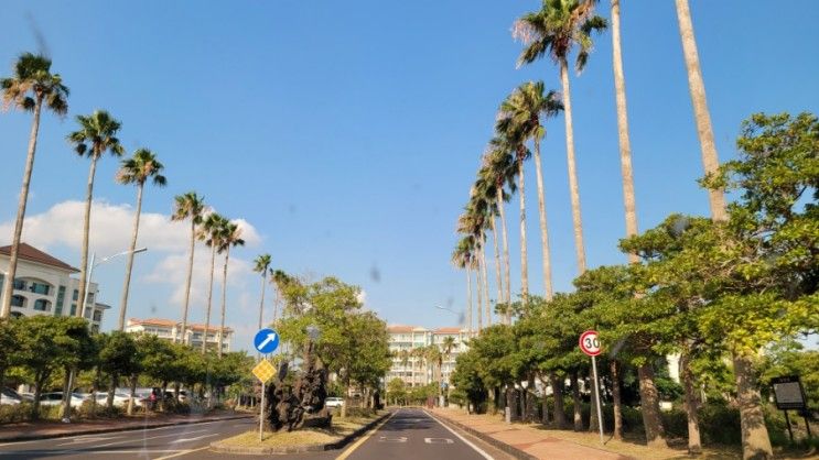 [제주도 호텔]제주 협재 해수욕장 근처 제주 라온호텔 숙박하기!!