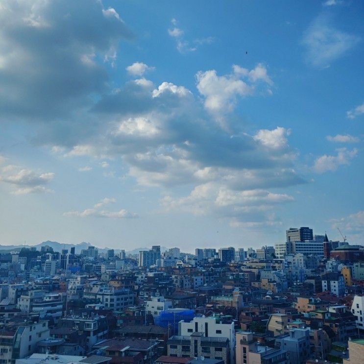 베스트웨스턴프리미어강남호텔에서 뜻밖의 호캉스 배달음식...