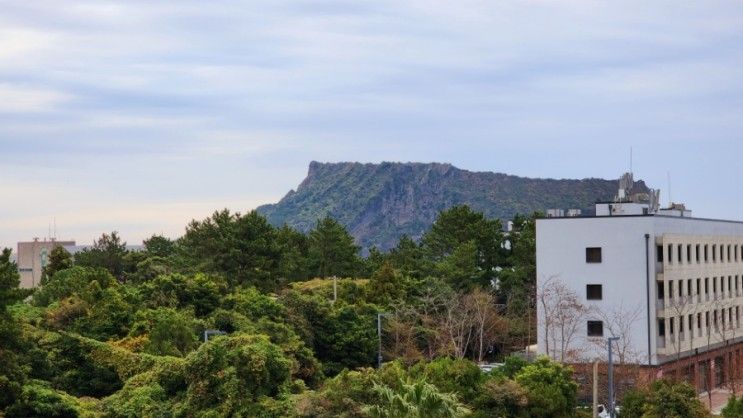 나홀로제주여행 :: 더베스트제주성산호텔