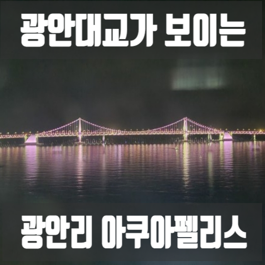 부산 광안대교가 보이는 광안리 아쿠아펠리스 호텔