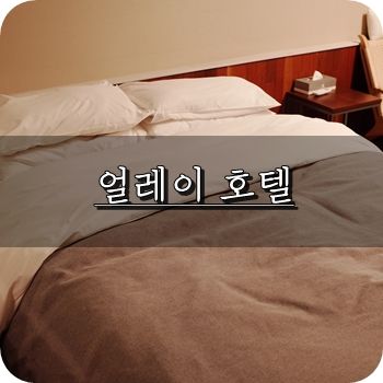 용인 에버랜드 숙박 추천 얼레이 호텔 가성비 굳 ♩