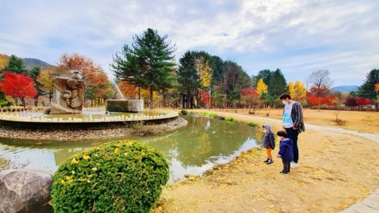 11월초의 남이섬 단풍여행과, 가평 W지우리조트 슈페리어룸 숙박