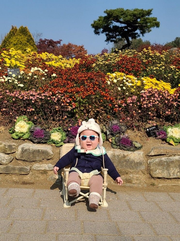 6개월 아기랑 언택트 여행가기 (가평 W지우리조트_수영장룸)