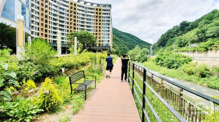 정선 계곡과 산책로가 있는 숙소 메이힐스 리조트