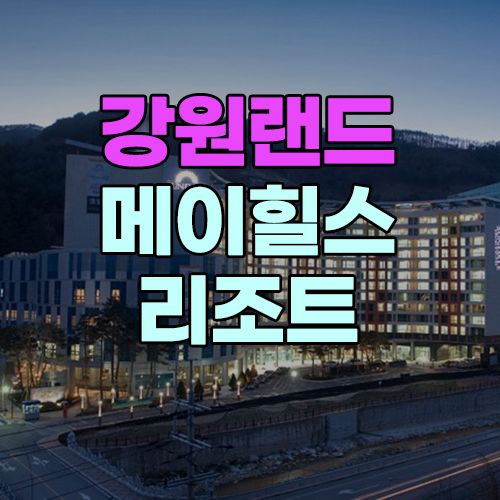 강원랜드 메이힐스 리조트 다녀온 후기