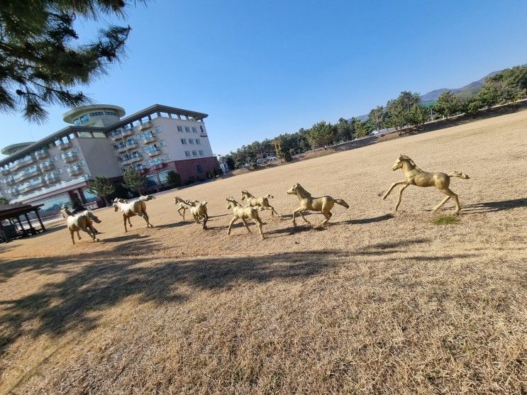 씨스포빌 가족동반하기 좋은 삼척 가성비 숙소