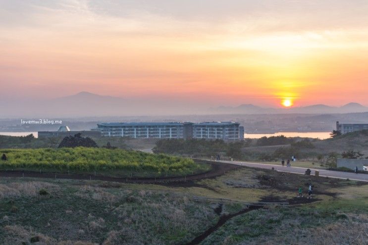 제주호텔 : 골든튤립 제주 성산 호텔