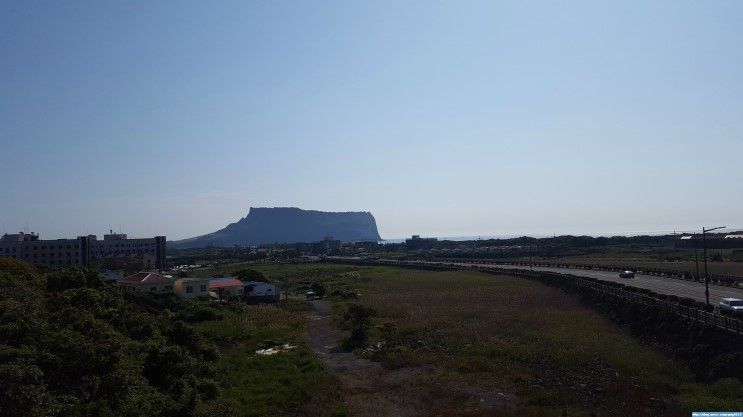 제주도 골든튤립 제주성산호텔 제주도 태교여행 호텔 추천♥