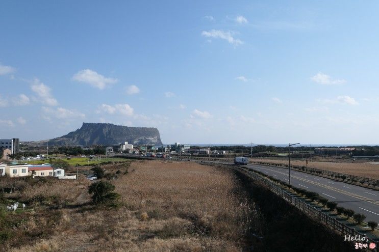 제주 성산일출봉 가성비 숙소, 제주 골든튤립 성산 호텔  조식