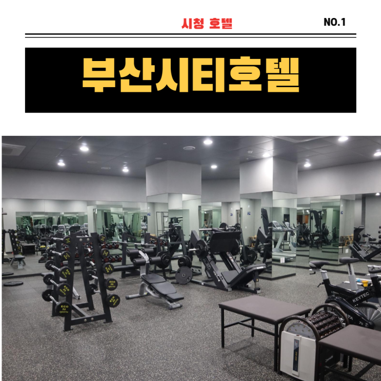 시청 근처 호텔 추천, 부산씨티호텔