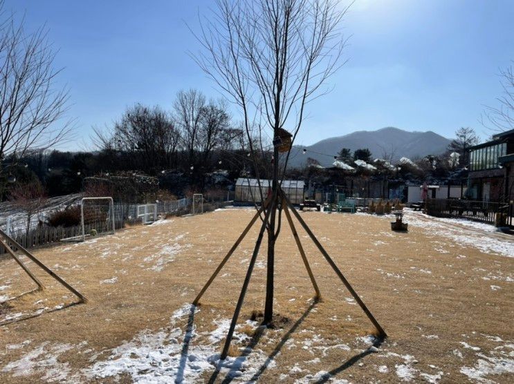 가평 아이랑 가볼만한 곳 '밭에서놀자 153'