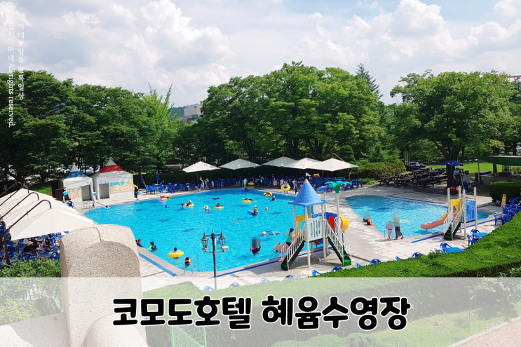 경주 코모도호텔 혜윰 야외수영장 이용정보