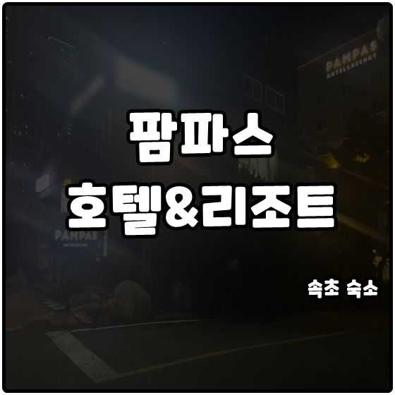 속초 팜파스리조트 골드클래스A시티뷰 25평 위치 가격 합격