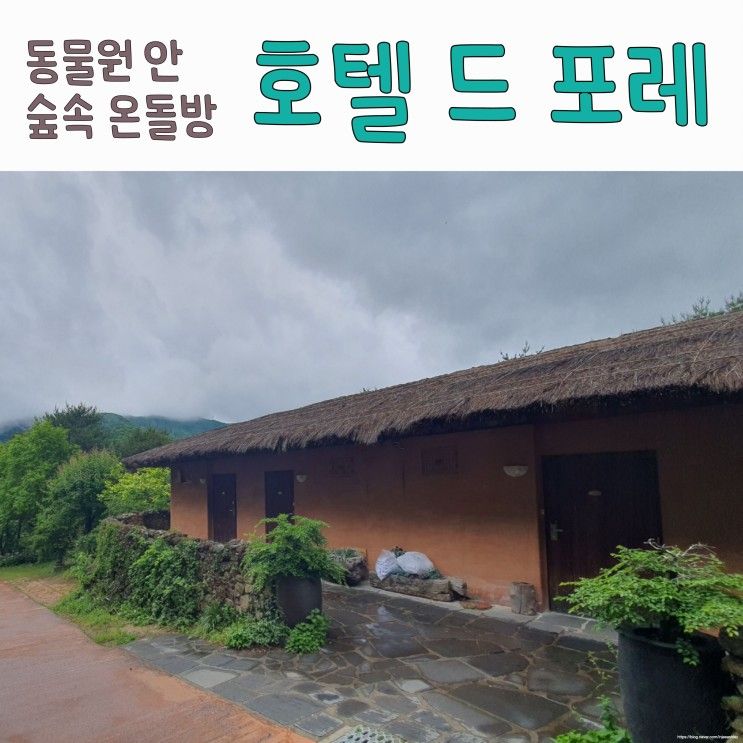 [39개월 아이랑] 대구_호텔 드 포레