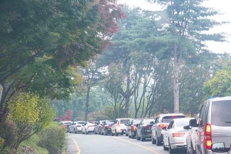 앨리스앤트렁크: 제주공항근처 호텔에서 편안하고 즐거운...