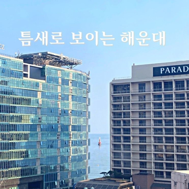 페어필드 바이 메리어트 부산 호텔 해운대 가세요 #내돈내산