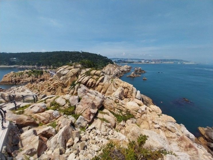 빵파제, 울산리버사이드호텔(여행지, 숙소, 빵맛집, 울산여행)