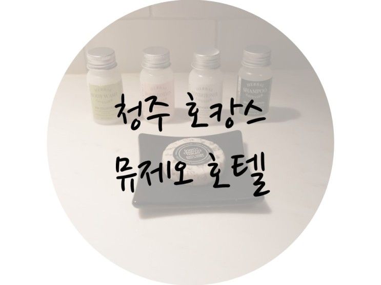 청주 호텔, 호캉스 추천 - 뮤제오 호텔