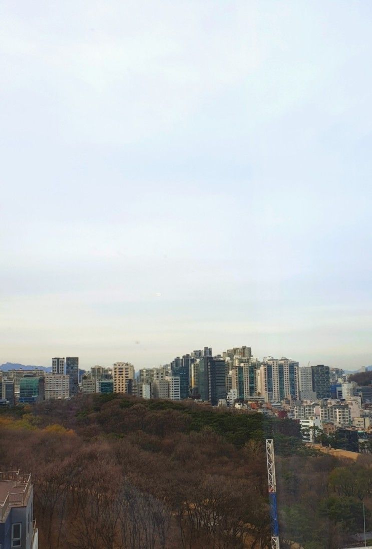 가성비 좋은 선릉역 호텔 | L7 강남 바이 롯데 (아기와 숙박 후기)