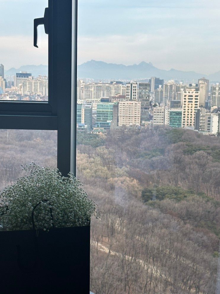 강남 L7_강남 선릉역 깔끔한 호텔 L7 숙박과 조식 후기✨