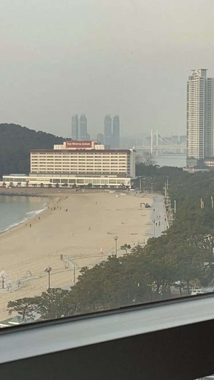 부산 해운대) MS 호텔