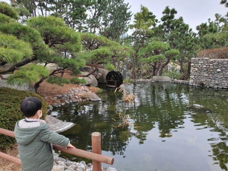 부산 어린이 숲속 체험 도서관과 열린 행사장 산책(전, 부산시장 관사)