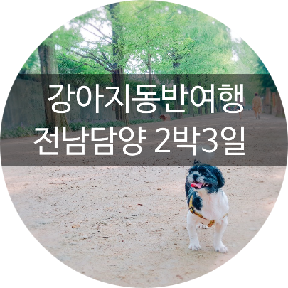 담양강아지동반펜션/담양강아지동반갈수있는곳/총정리